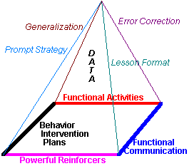 Schema riassuntivo del Pyramid 
              Approach of Education